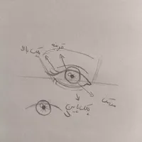 آموزش آنلاین مقدماتی طراحی لباس اقتصادی|خدمات آموزشی|تهران, تجریش|دیوار