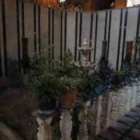 نیازمند ملک کلنگی جهت مشارکت یا مدیریت پیمان|مشارکت در ساخت املاک|تهران, شکیبا|دیوار