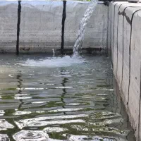 باغ در نعمت اله صوفیان بعد از خط راه اهن|فروش خانه و ویلا|صوفیان, |دیوار