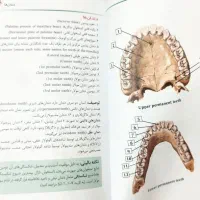 آناتومی نتر|کتاب و مجله آموزشی|تهران, اوین|دیوار