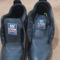 پوتین ایمنی ۴۱