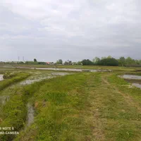 زمین-کشاورزی-درنوکنده