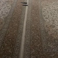 دو عدد قالی ۱۲ متری