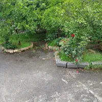 اجاره-سوئیت-روزانه