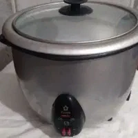 پلوپزوبخارپز نوی نوهست|اجاق گاز و لوازم برقی پختوپز|زاهدان, |دیوار