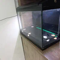 اکواریم هایلا  مدل f60|ماهی|بومهن, |دیوار