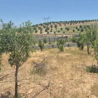 فروش فوری باغچه ۱۰۰۰متری واقع درخانزنیان|فروش زمین و ملک کلنگی|شیراز, شهرک امیر کبیر|دیوار