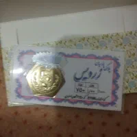 زنجیر طلا و سکه