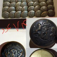 دکمه قدیمی و شیر خورشید