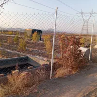 باغ فروشی دشت بجد مدارک مرتب نقد یا معاوضه ماشین|فروش دفتر صنعتی، کشاورزی، تجاری|بیرجند, |دیوار