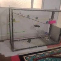 قفس پرنده