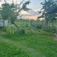 فروش زمین مسکونی ۲۷۵متری مسکونی|فروش زمین و ملک کلنگی|شاندرمن, |دیوار