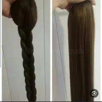 مجله(دم اسبی)