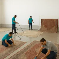 نیازمند کارگر ساده برای قالی شویی