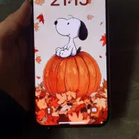 آیفون ۱۳ پرومکس در حد نو