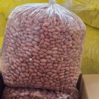 استخدام فروشنده خانم