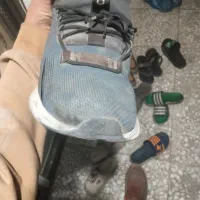 کتونی اورجینال|کیف، کفش، کمربند|قلعه نو, |دیوار