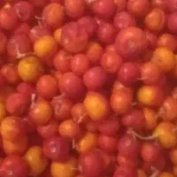 کنارتازه مال زرین آباده کمیابه