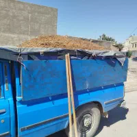 کود حیوانی گوسفندی|خدمات باغبانی و درختکاری|کوهدشت, |دیوار