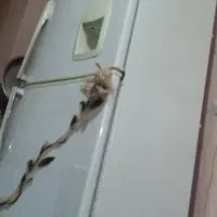 یخچال فریزر وتلوزیون