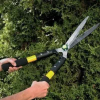 باغچه|خدمات باغبانی و درختکاری|رشت, دیانتی|دیوار