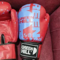 دست کش بوکس|تجهیزات ورزشی|تربتحیدریه, منصوریه|دیوار