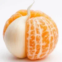 هوش مصنوعی با ادیت