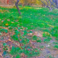 عکسی برداری.|خدمات پذیرایی، مراسم|بروجرد, |دیوار