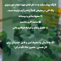 نیازمند همکار بانو در کارگاه سبزیجات آماده