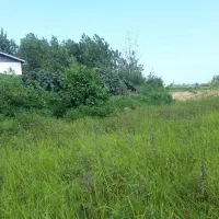 ۲۵۰۰ متر زمین روستایی‌پره‌سر/ متراژ دلخواه/توافقی|فروش زمین و ملک کلنگی|پره‌سر, |دیوار