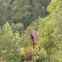 اجاره کلبه سوئیسی دوبلکس در دل جنگل های لفور|اجارهٔ کوتاه‌مدت ویلا و باغ|شیرگاه, |دیوار