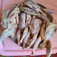 بلدرچین پاک شده گرم تازه