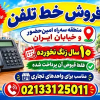 فرصت طلایی، خط قدیمی باشماره اصیل در قلب تهران