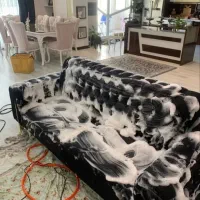 مبل شویی باران|خدمات نظافت|قزوین, |دیوار