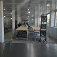 نیروی همکار قنادی