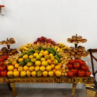 اجاره برای جشن ها ویلا باغ