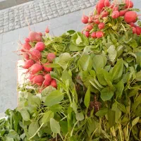 سبزیجات کلی وجز باقیمت مناسب درمیدان امام