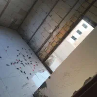 استا سنگکار کاشیکار