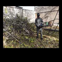 باغبانیوسمپاشی،پردیس،بومهن،رودهن،وحومه|خدمات باغبانی و درختکاری|پردیس, فاز ۴|دیوار