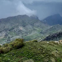 فروش خط دائمی کار کرده 09188460701