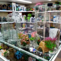 آکواریوم و ماهی فروشی محمدشهر|ماهی|محمدشهر, محمدشهر|دیوار