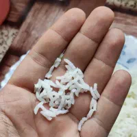 برنج طارم هاشمی - سرخ‌رود|خوردنی و آشامیدنی|قم, دانش|دیوار