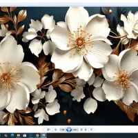 روبالشتی سه بعدی|رختخواب، بالش، پتو|مشهد, شهرک مهر آباد|دیوار