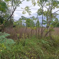 ۸۰۰متر زمین ویلایی