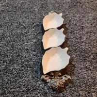 ظروف پذیرایی