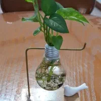 گلدون لامپ|صنایع دستی و سایر لوازم تزئینی|رشت, ساغری سازان|دیوار