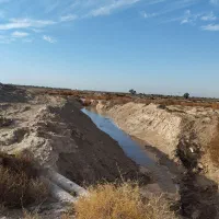 مشارکت در کشت اجاره زمین کشاورزی