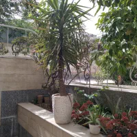 گل و گیاه تزئینی