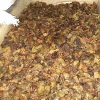 فروش انواع کشمش آفتابی و دودی|خوردنی و آشامیدنی|میانه, |دیوار