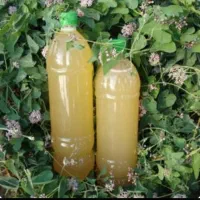 آبغوره محلی ارگانیک